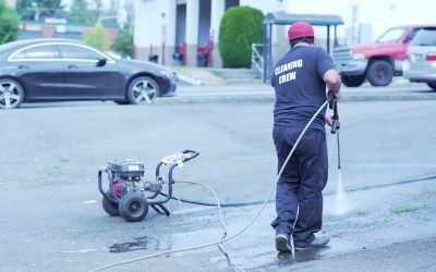 Transform Your Outdoor Spaces with Professional Landscape Washing Services