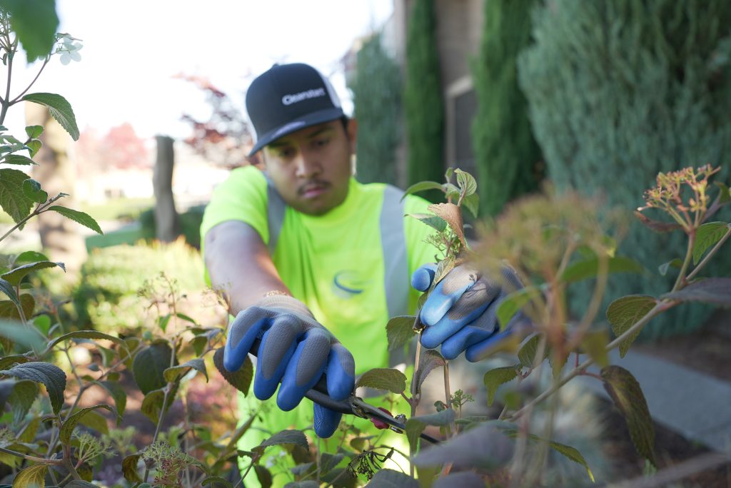 commercial landscaping services